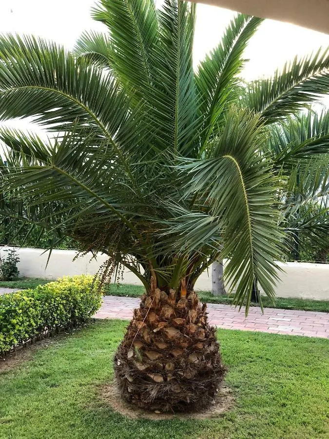 Estival Park Apartment La Pineda 0*,  Spain